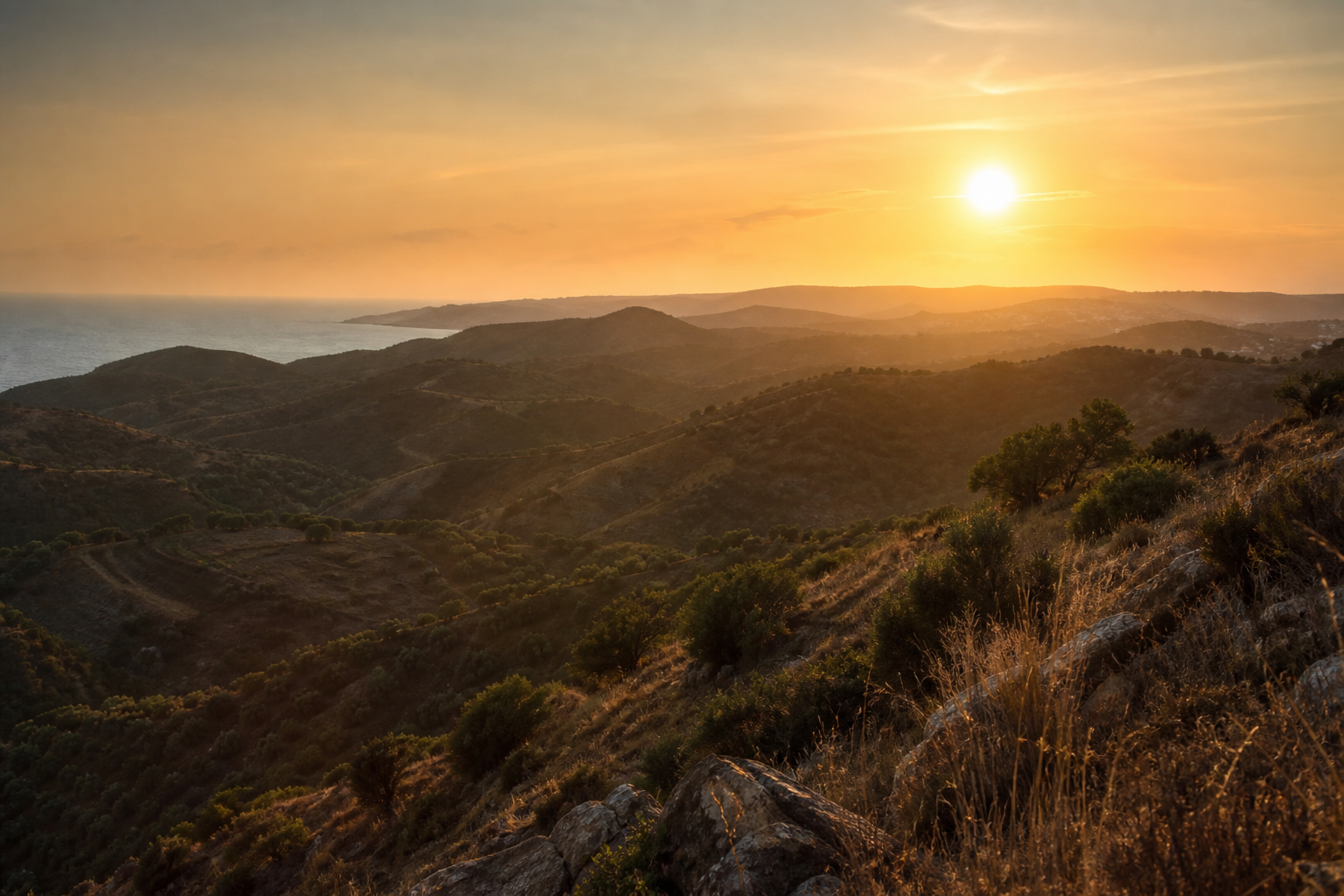 Golden horizon over Portuguese landscape symbolising long-term vision
